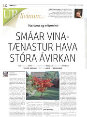 Síða 36