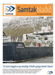 Síða 17