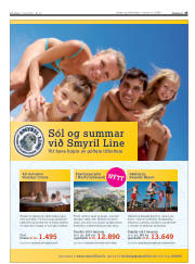 Síða 25