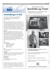 Síða 29