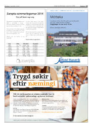 Síða 33