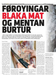Síða 6
