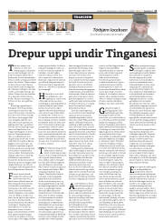 Síða 11