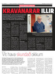 Síða 6