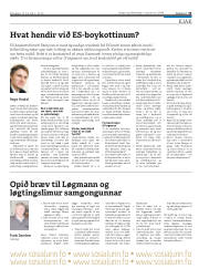 Síða 23