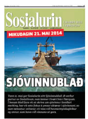 Síða 25