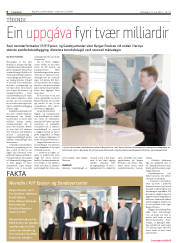 Síða 6