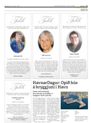 Síða 15
