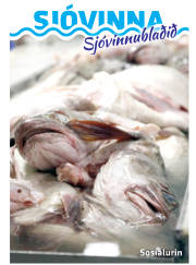 Síða 29
