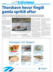 Síða 30