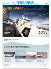 Síða 31