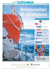 Síða 35