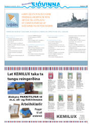 Síða 41