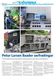 Síða 42