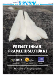 Síða 45