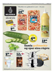 Síða 3