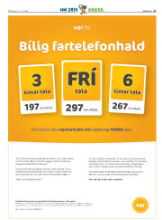 Síða 31