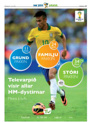 Síða 37