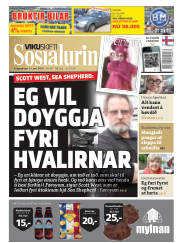 Síða 1