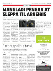 Síða 11
