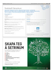 Síða 13