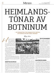 Síða 32
