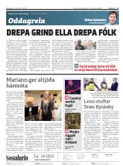 Síða 2