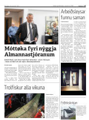 Síða 25