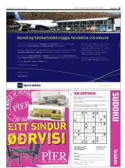 Síða 29
