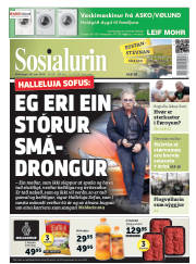Síða 1