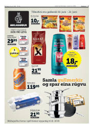 Síða 3