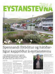 Síða 15