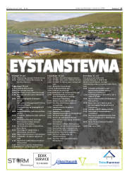 Síða 17