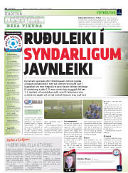Síða 28