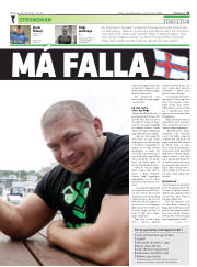 Síða 31