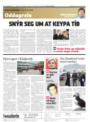Síða 2