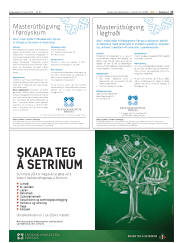 Síða 17
