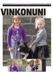 Síða 5