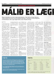 Síða 6
