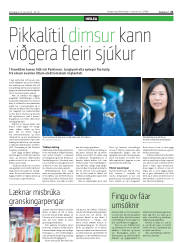 Síða 21