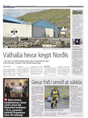Síða 22