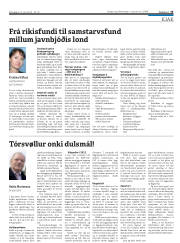 Síða 25