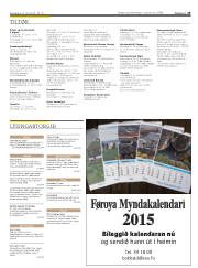 Síða 29