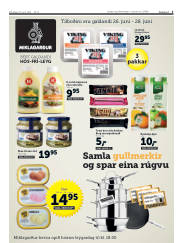 Síða 3