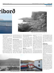 Síða 19
