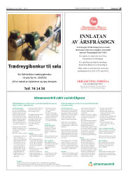 Síða 29