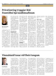 Síða 6