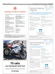 Síða 17