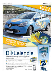 Síða 31