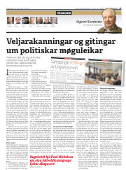 Síða 13